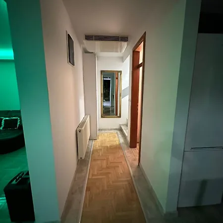 Bosnian Gallant *